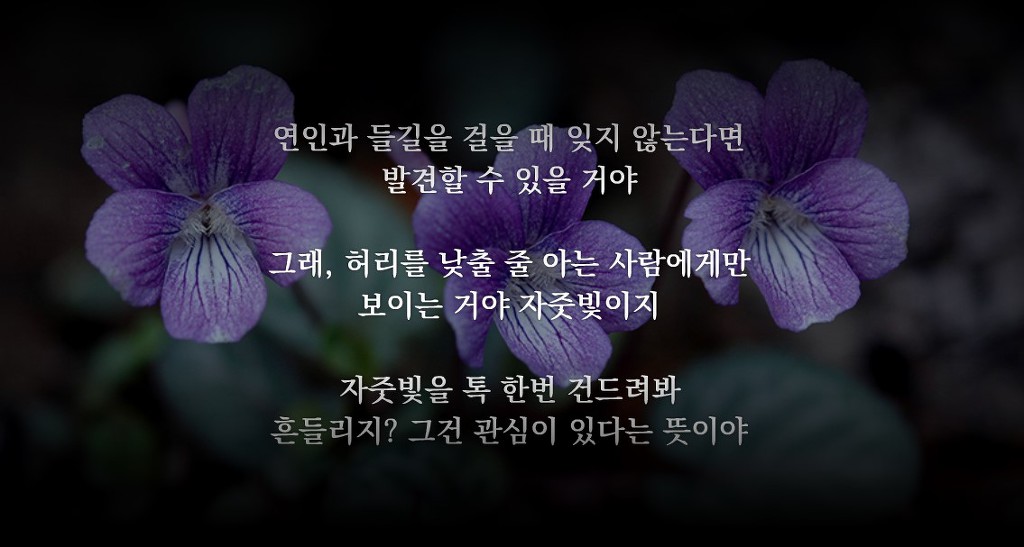 이아 이미지
