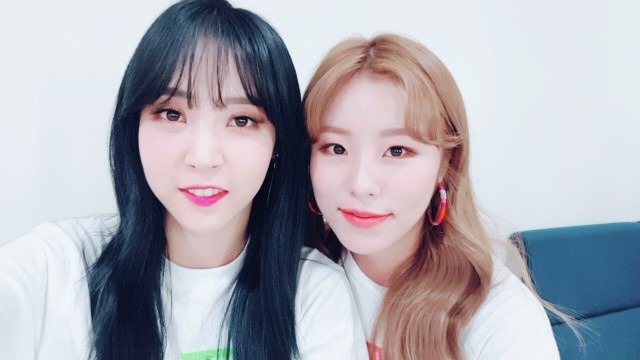 별콩 이미지