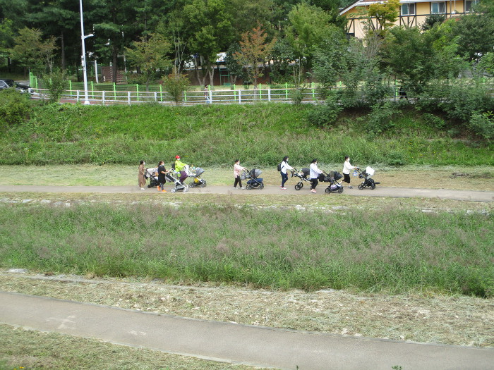 대전계산초등학교 이미지