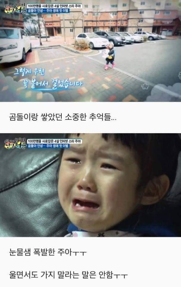 첫 이별을 경험하는 4살 아기 | 인스티즈