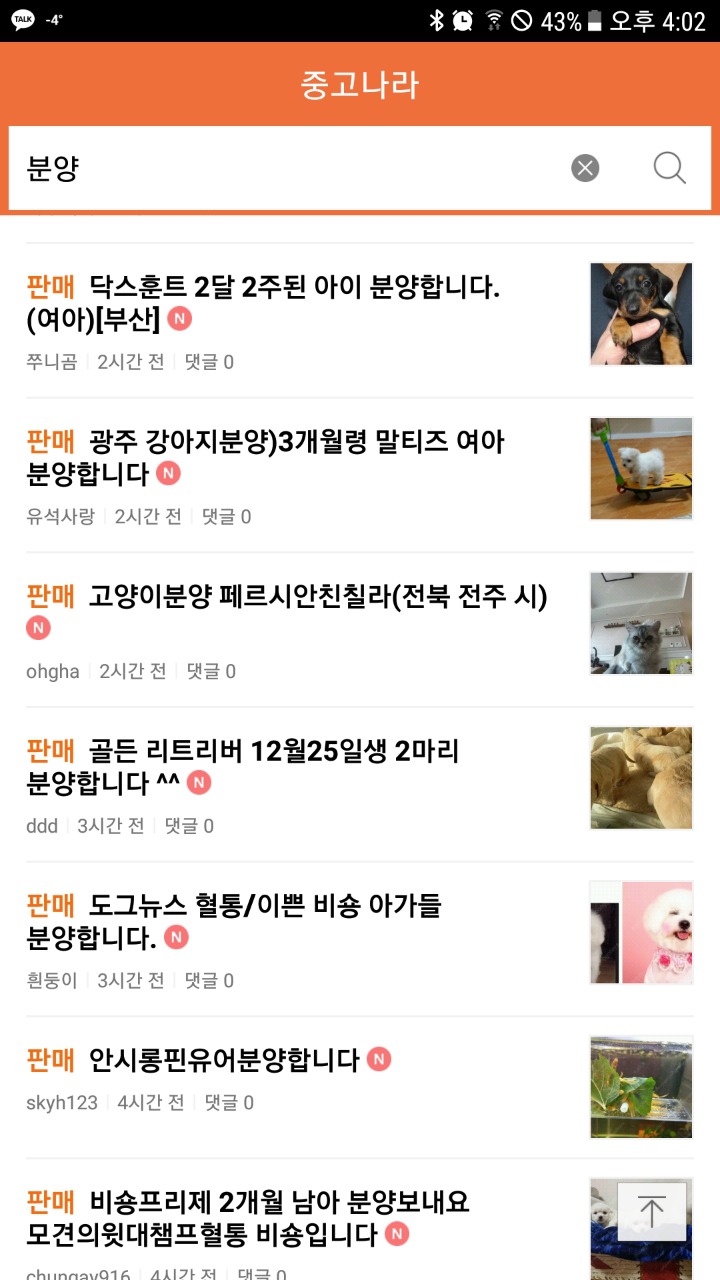 네이버 카페 중고나라에서 파는 강아지들 | 인스티즈