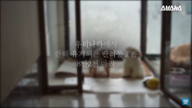  사람들이 홍대에서 인형을 뽑다 우는 이유는? | 인스티즈