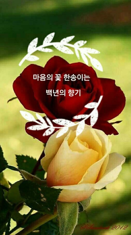 마음의꽃 이미지