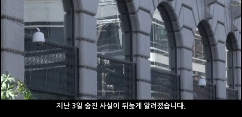 한일관 대표 이웃집 개에 물려 사망 | 인스티즈
