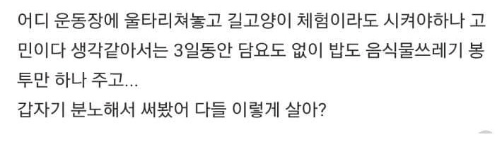 싹수없는 고양이 모시는 썰.txt | 인스티즈