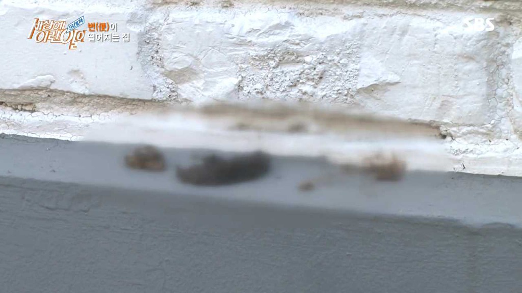 의문의 변 투척 | 인스티즈