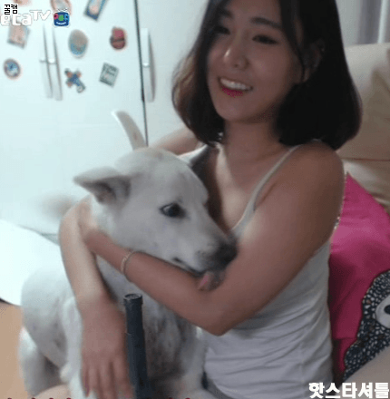 개라서 가능.gif | 인스티즈