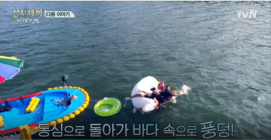 [삼시세끼] 오자마자 쟈가운 반응에 당황한 이제훈의 수난 ㅋㅋㅋ (온도차) | 인스티즈