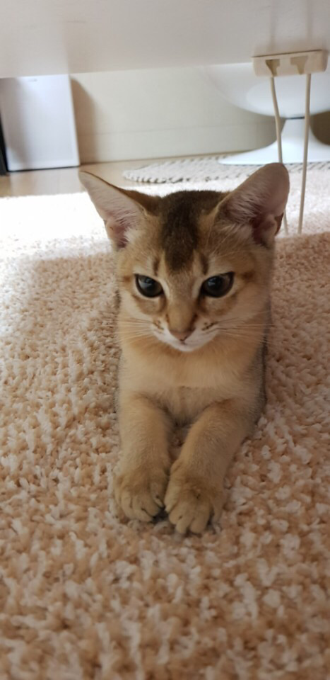 예뻐요 이미지