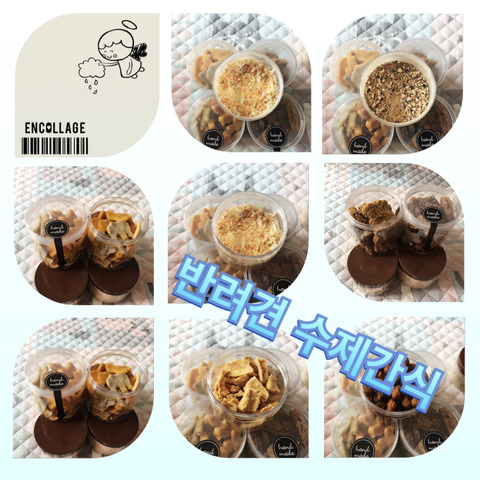 쫑아네 이미지