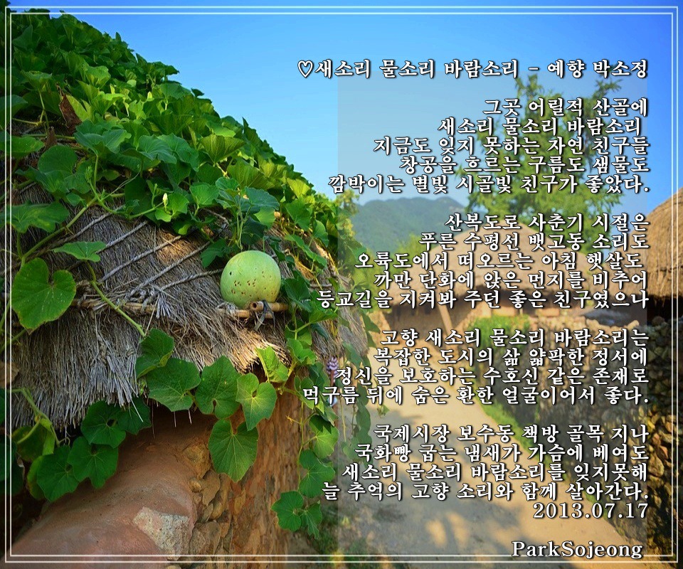 물소리바람소리 이미지