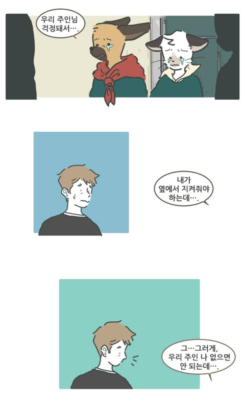 반려동물이 하늘나라(?)에서 하는 걱정 | 인스티즈