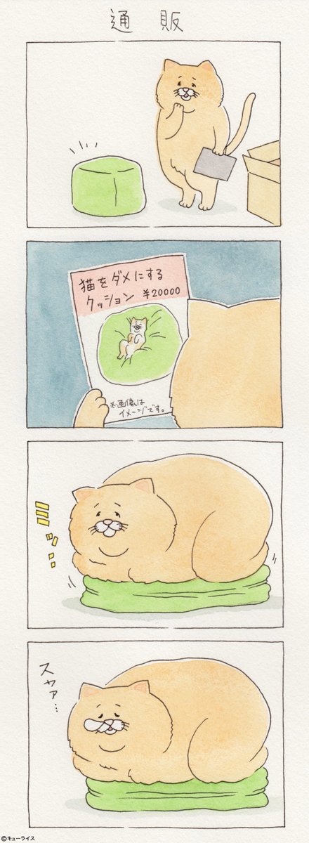 유감스러운 고양이 -2- | 인스티즈