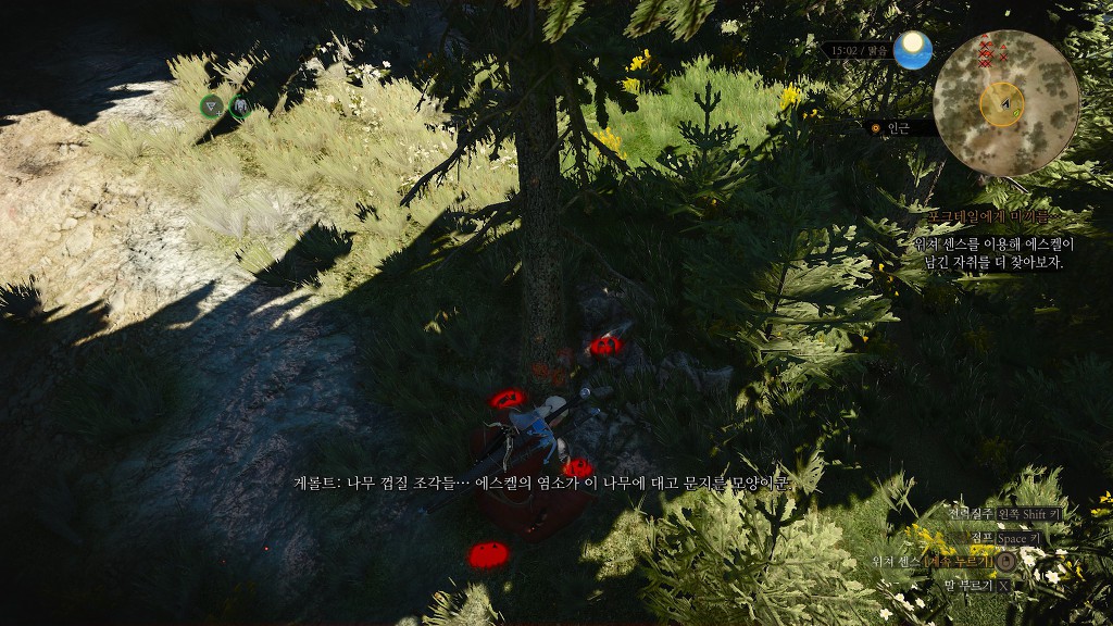 포크테일 이미지
