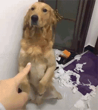 매 들고와 엉덩이 딱 대! | 인스티즈
