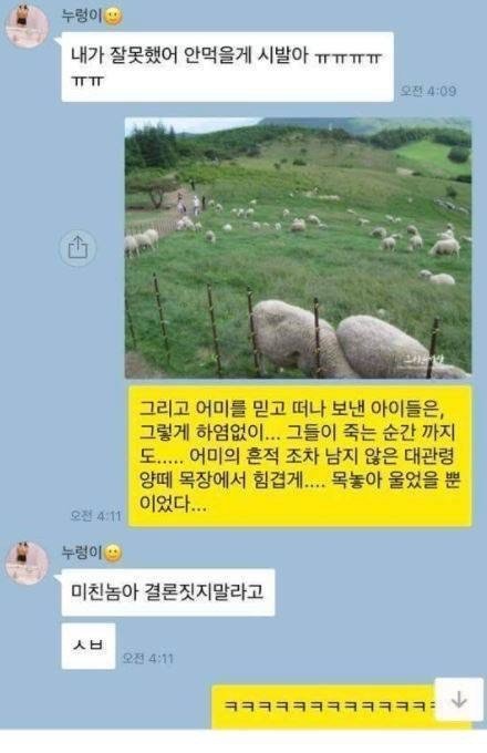 ??: 제 이름은 초원이에요! | 인스티즈