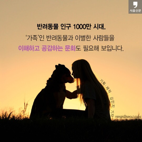 처음 반려동물 키우기 시작했을 때 너무 좋고 예뻐서 생각하지 못하는 것.jpg | 인스티즈
