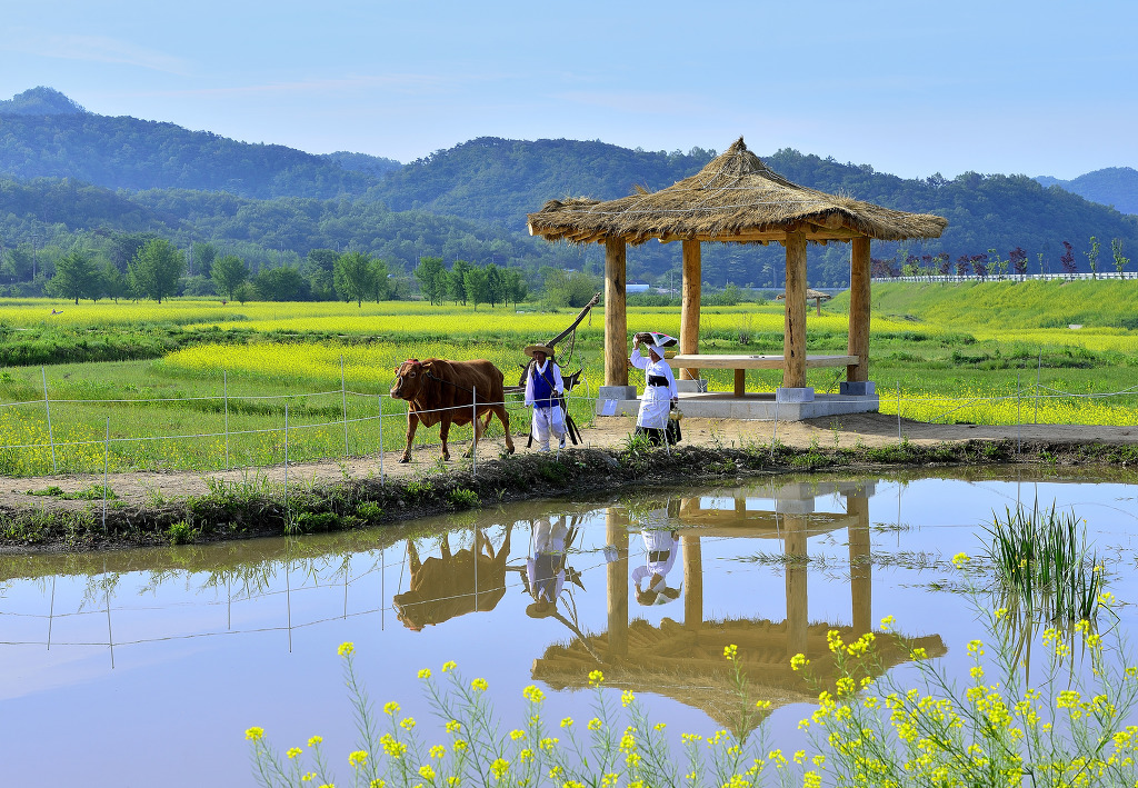 빛바람 이미지