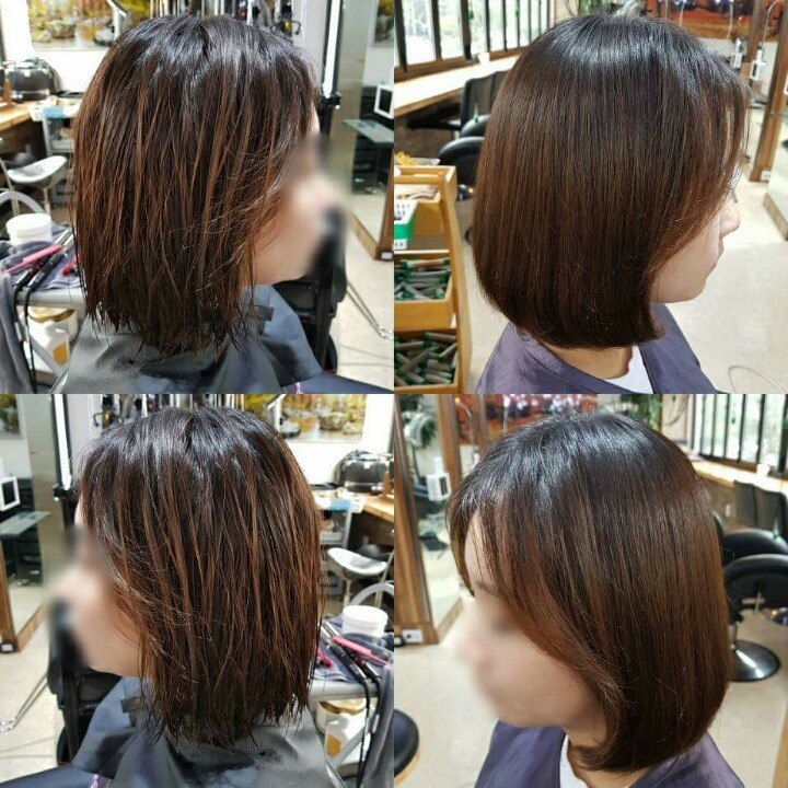 김송정머리터 이미지