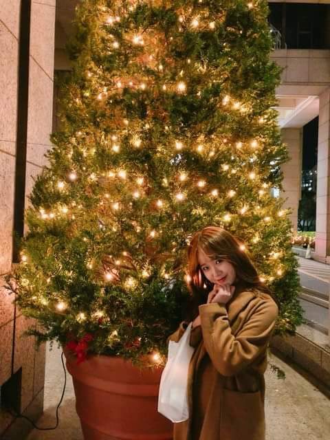 위미 이미지