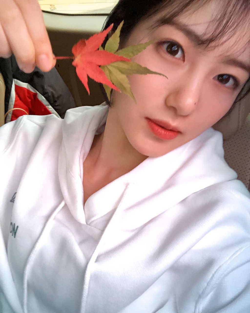 오늘자 배우 신예은 인스타그램.jpgif | 인스티즈