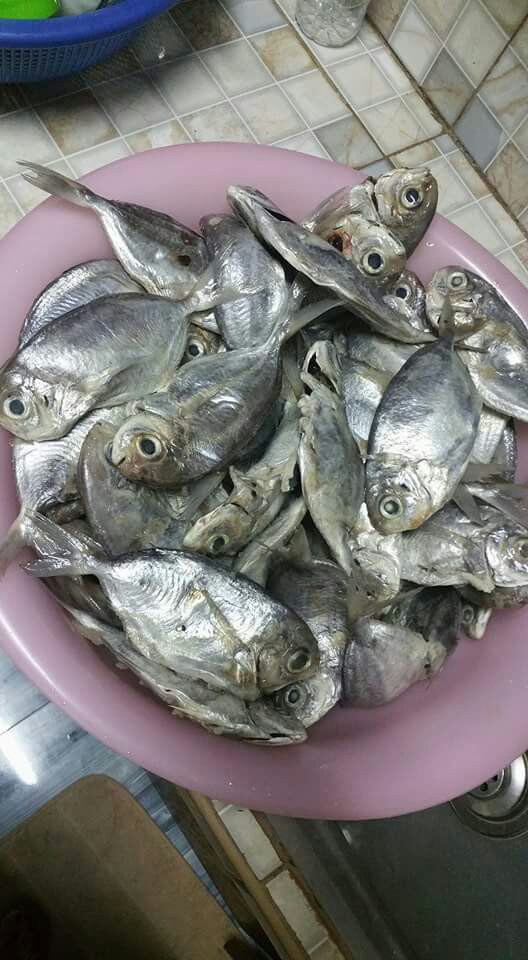 맛있는밥상 이미지