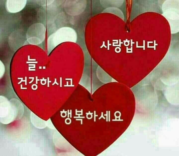 이영성 이미지