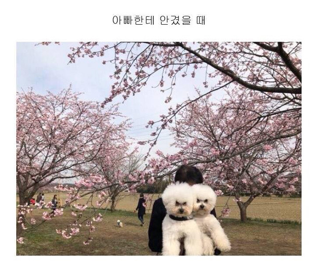 엄마 아빠한테 안겼을 때 차이....jpg | 인스티즈