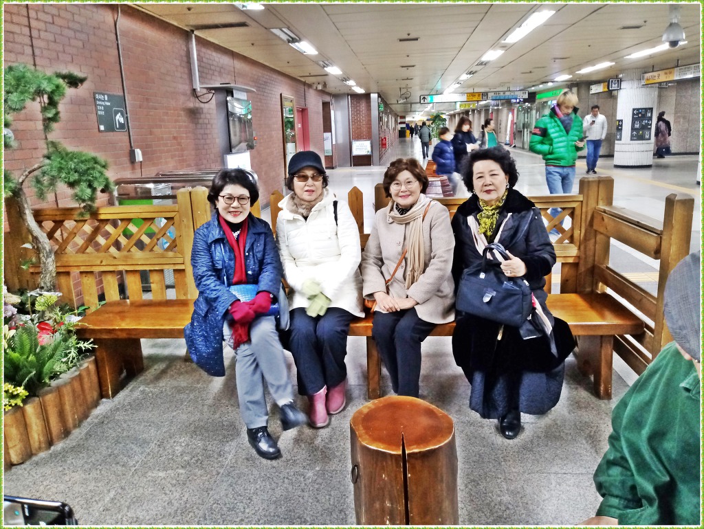 정아호프 이미지