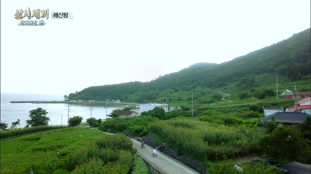 한지민을 물음표살인마로 만든 삼시세끼 역대급 비쥬얼 해신탕 | 인스티즈