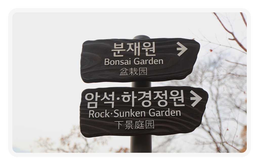 하담 이미지