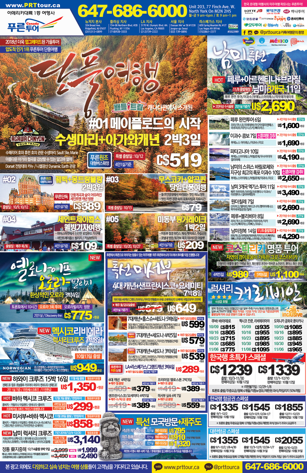 푸른아메리카투어 이미지