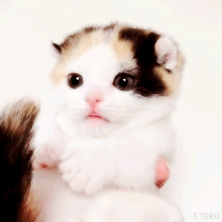 자신의 꼬리를 먹는 괴물.gif | 인스티즈