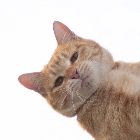 효은 이미지
